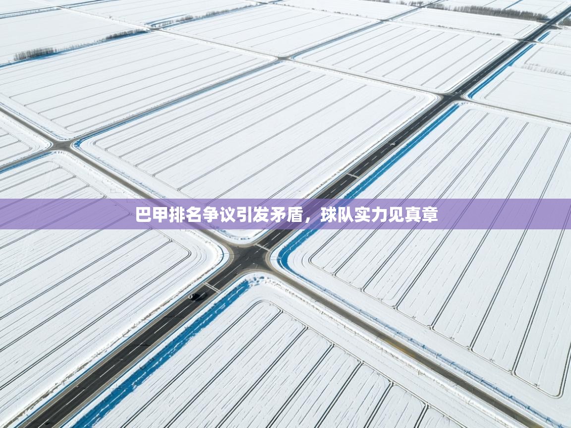 巴甲排名争议引发矛盾，球队实力见真章