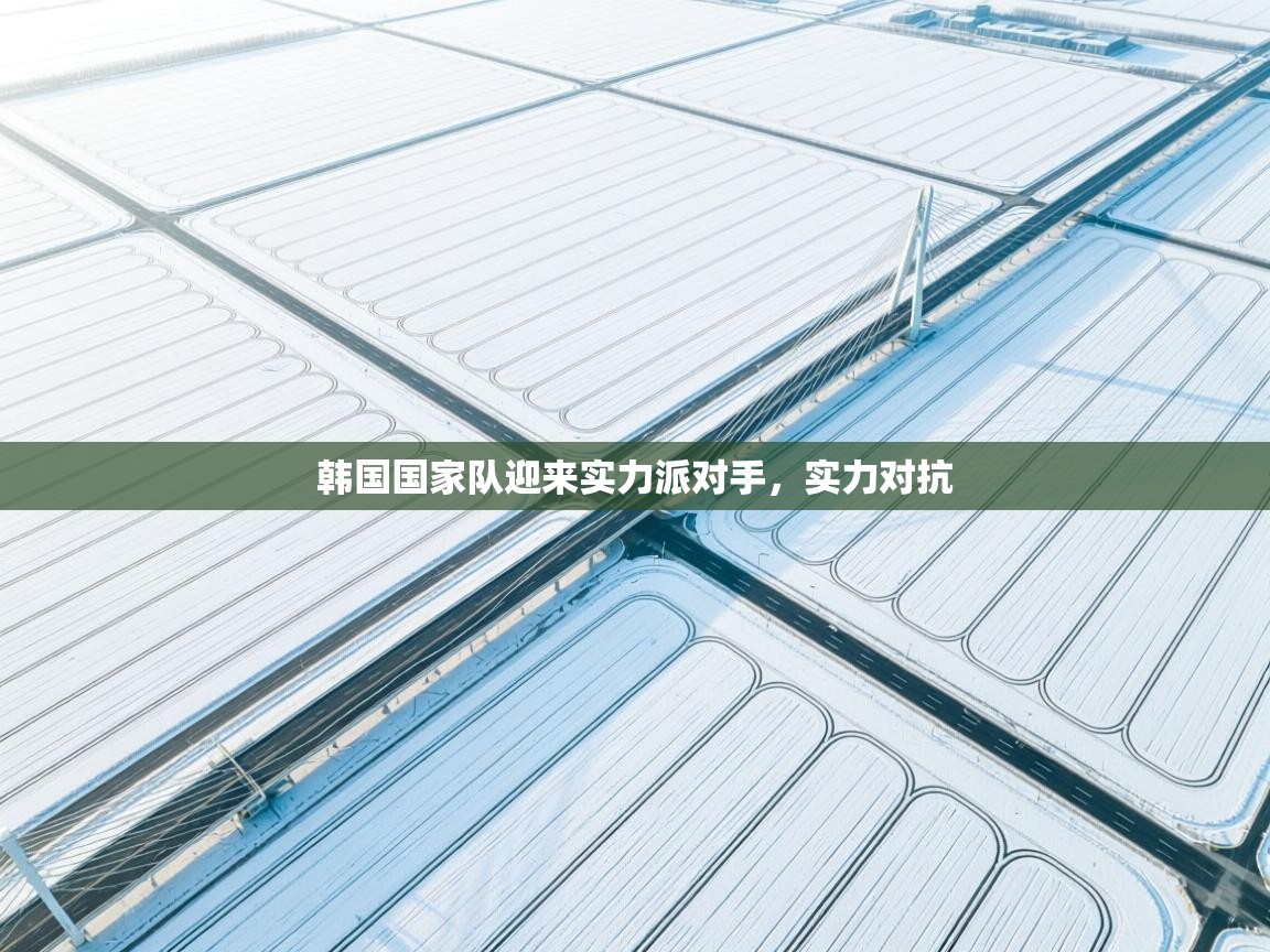 韩国国家队迎来实力派对手，实力对抗