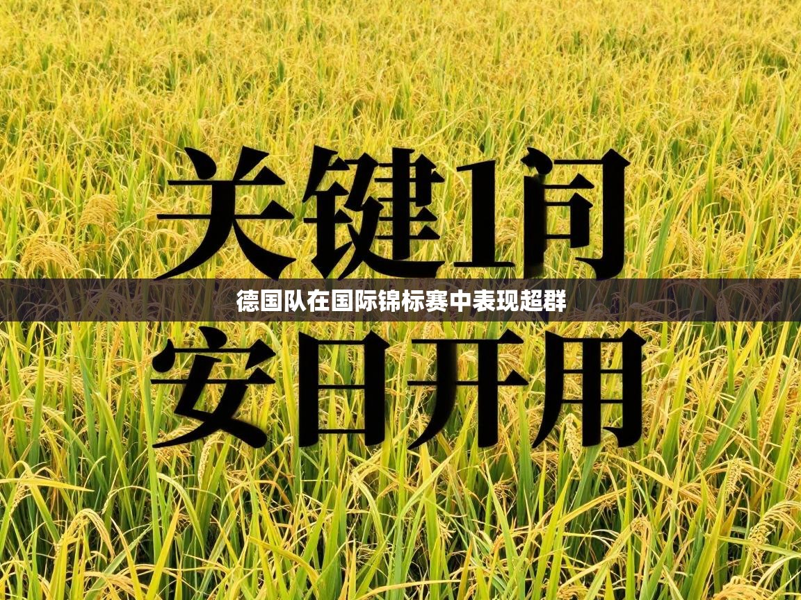 德国队在国际锦标赛中表现超群 第2张