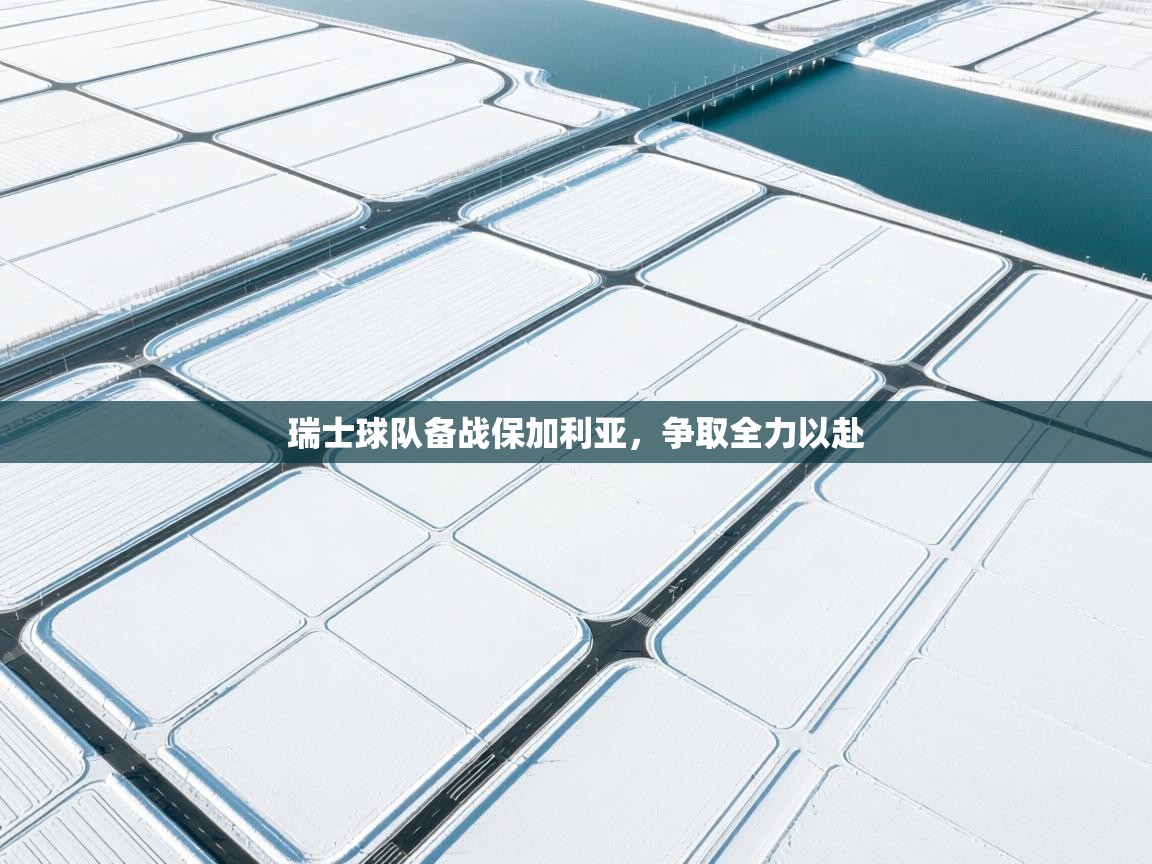 瑞士球队备战保加利亚，争取全力以赴