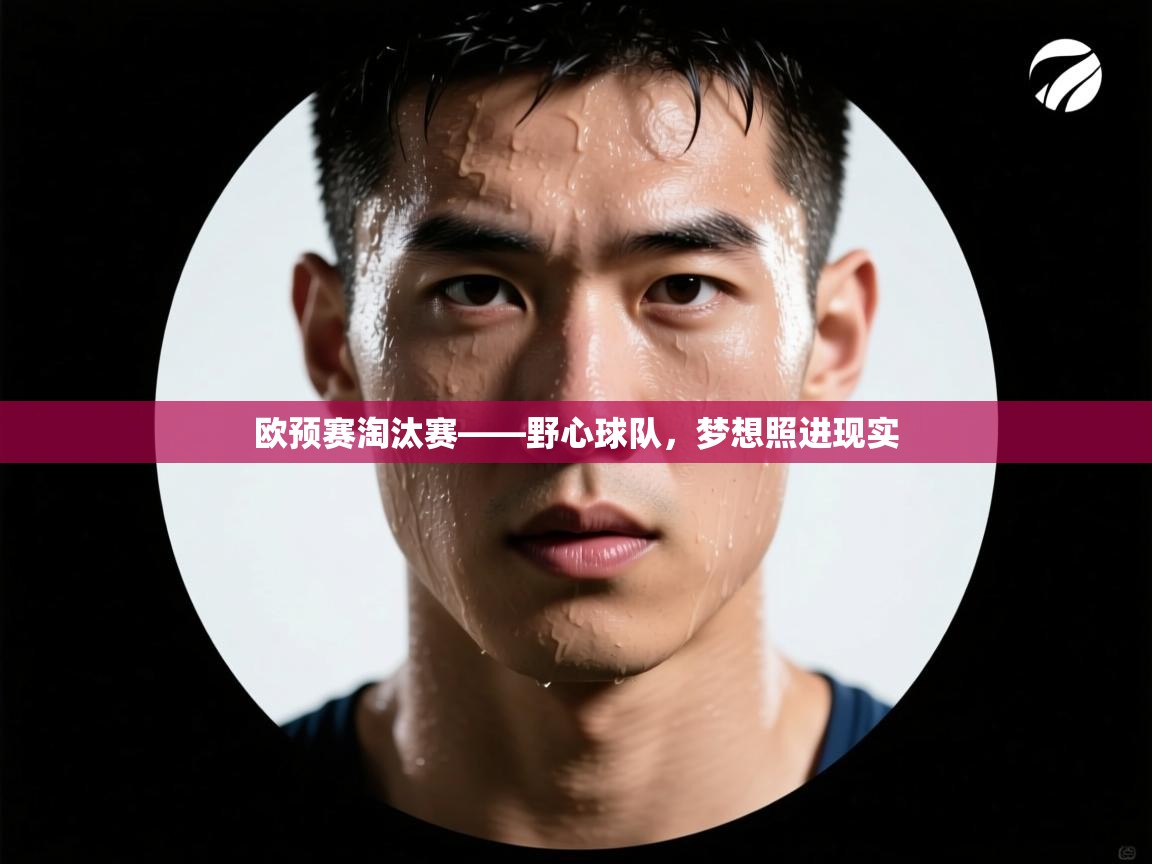 欧预赛淘汰赛——野心球队，梦想照进现实  第2张