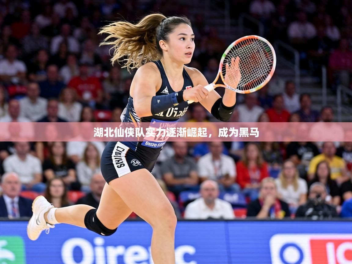 湖北仙侠队实力逐渐崛起,成为黑马 第1张