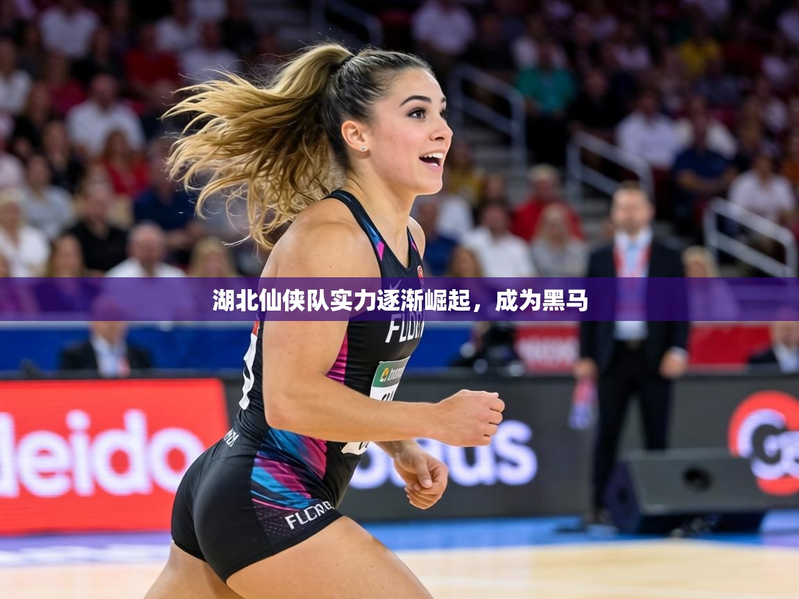 湖北仙侠队实力逐渐崛起,成为黑马 第2张